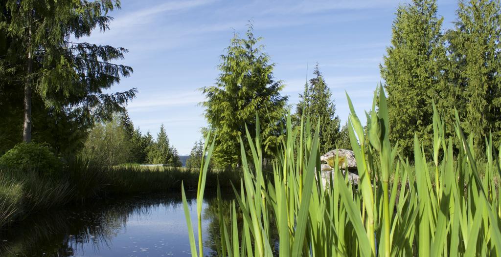 Cedar Park Resort Port McNeill Zewnętrze zdjęcie